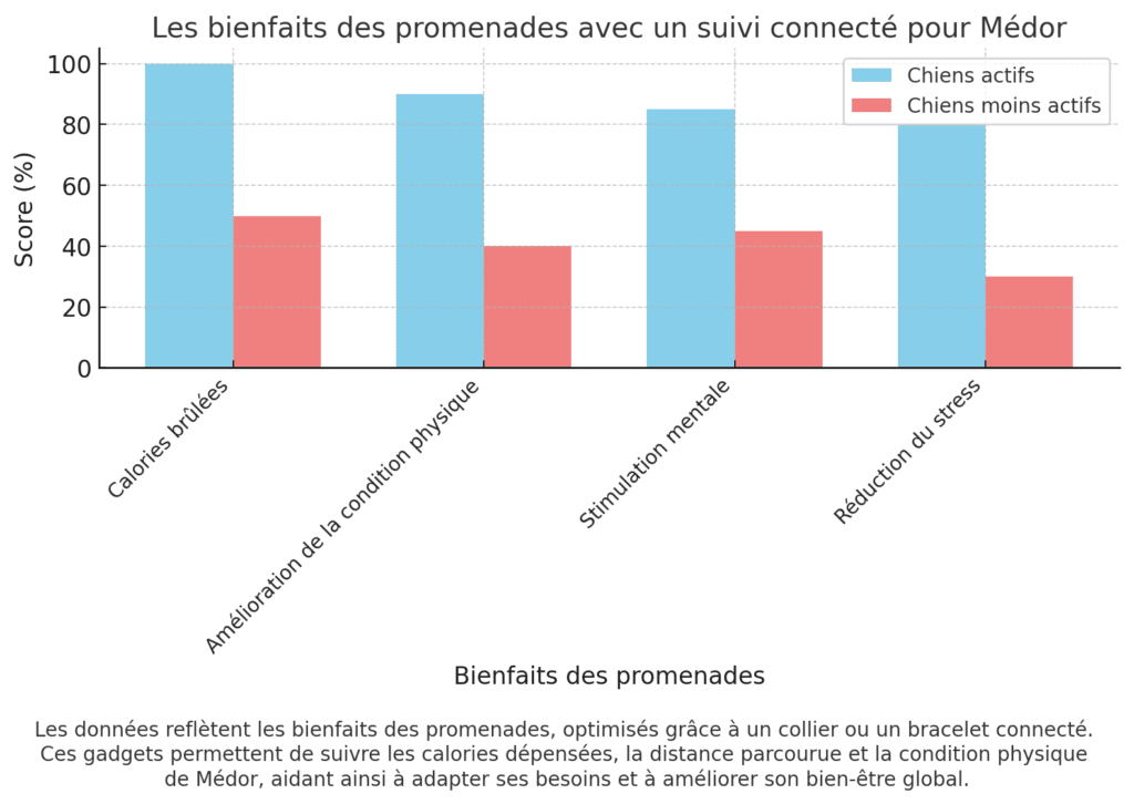 Tableau comparatif des bienfaits des promenades avec un suivi connecté pour chien. Découvrez l’intérêt des objets connectés pour le bien-être et la sécurité des animaux.